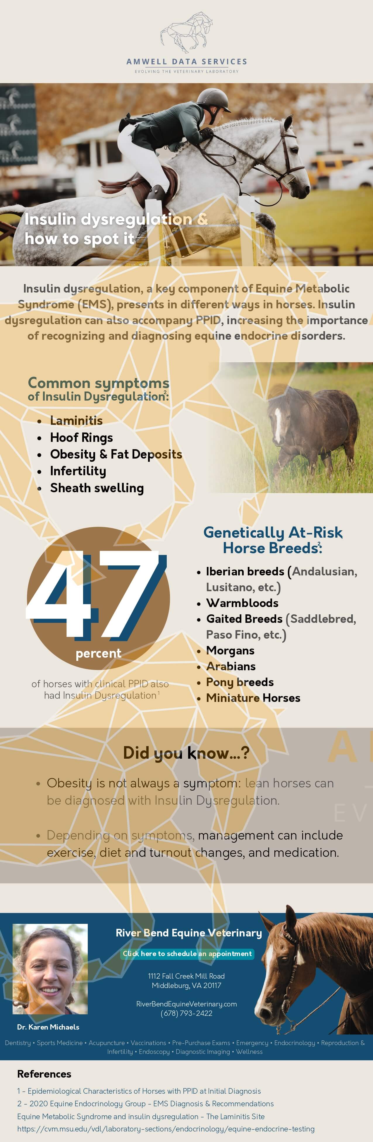 Equine Endocrine Disease #3 - Insulin Dysregulation Email Template - Amwell Data Services LLC